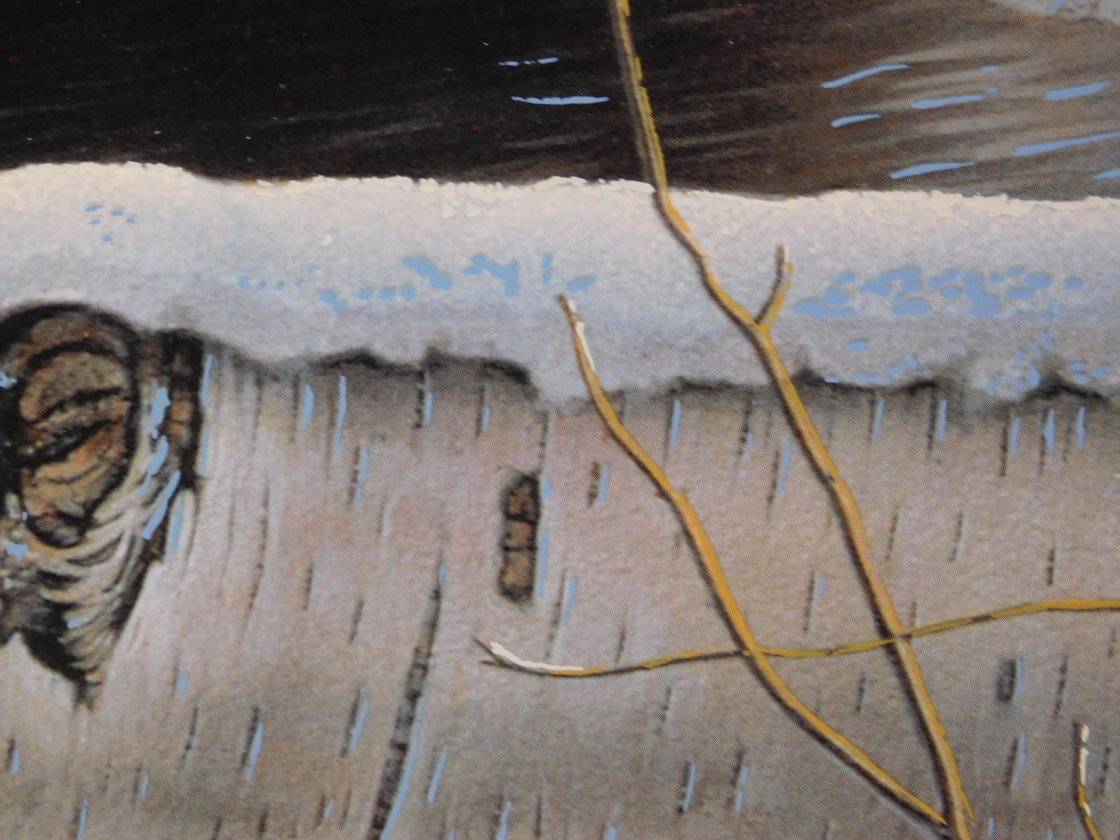 Pat McManus: Bobcat - 4