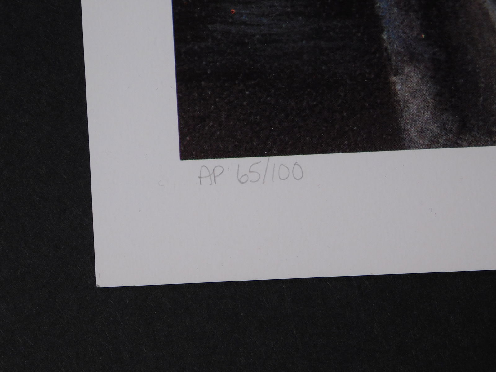 Pat McManus: Bobcat - 5