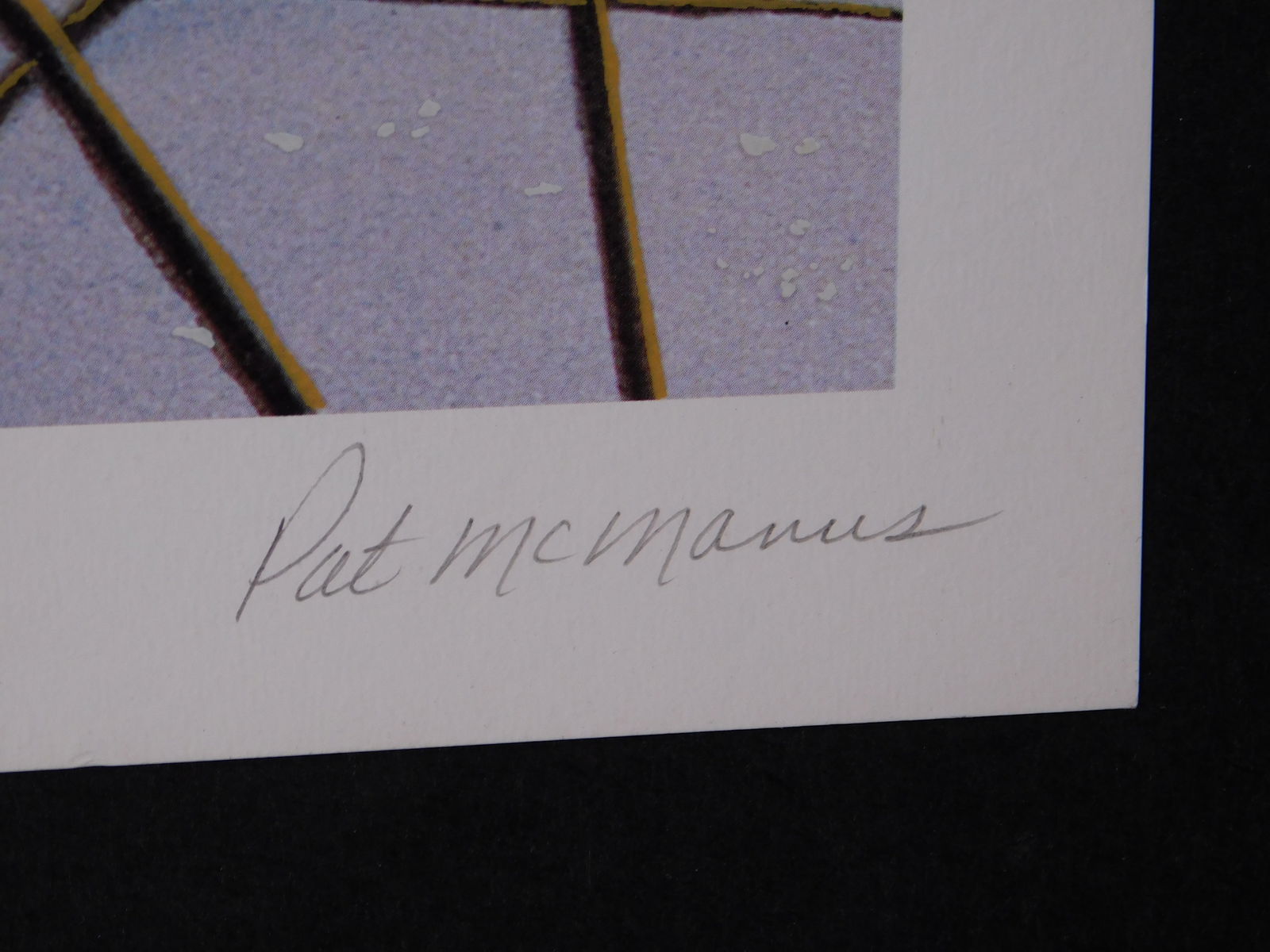 Pat McManus: Bobcat - 6