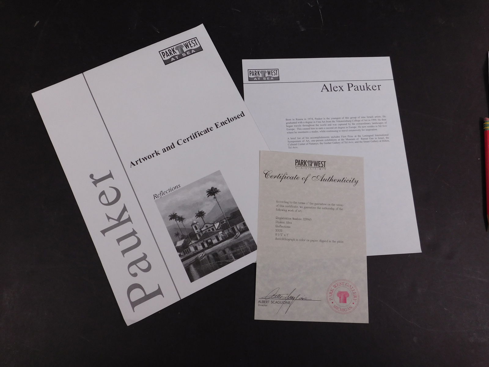 Alex Pauker: Reflections - 4