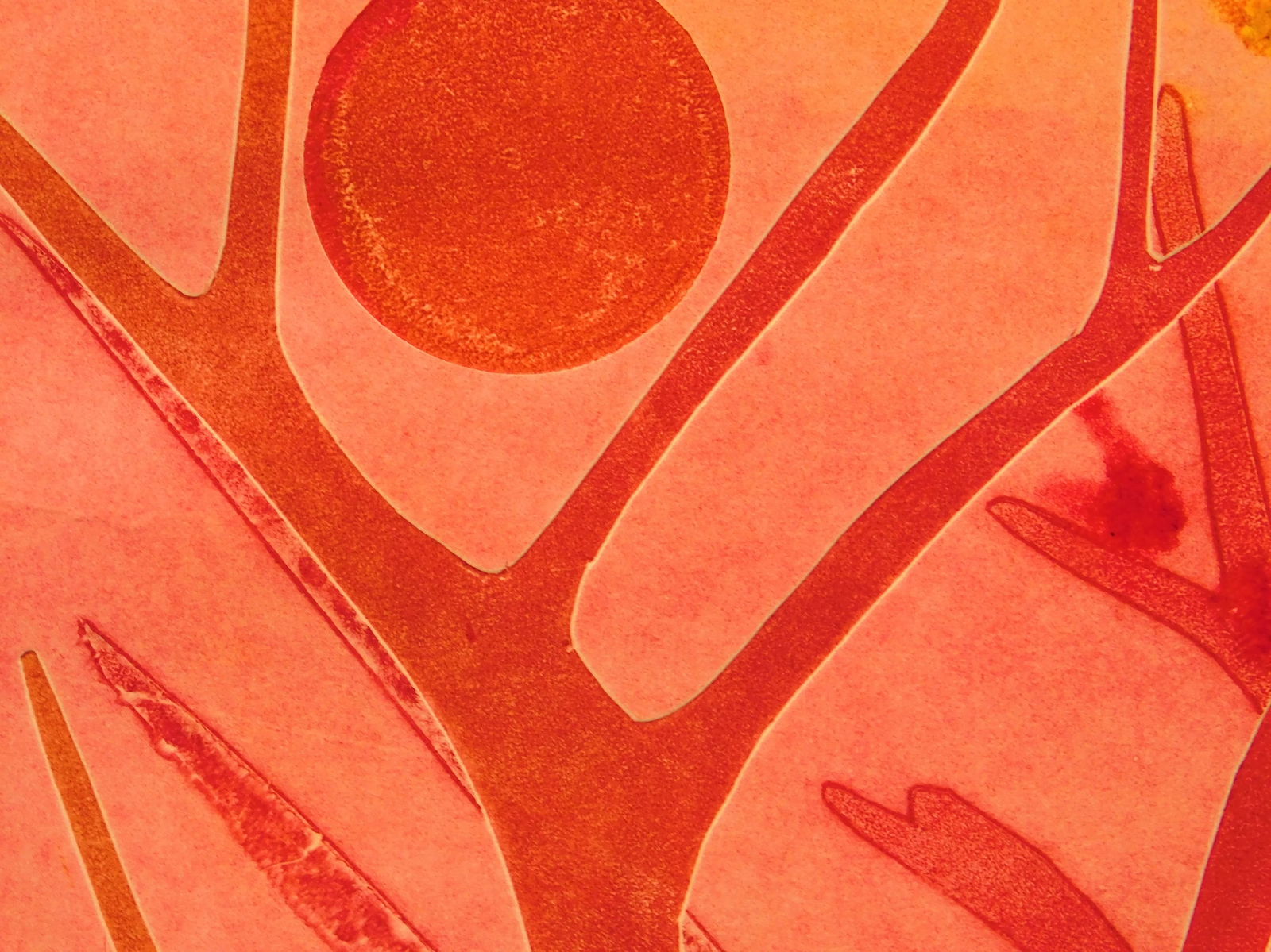 K. Allen: Warm Spring - 4