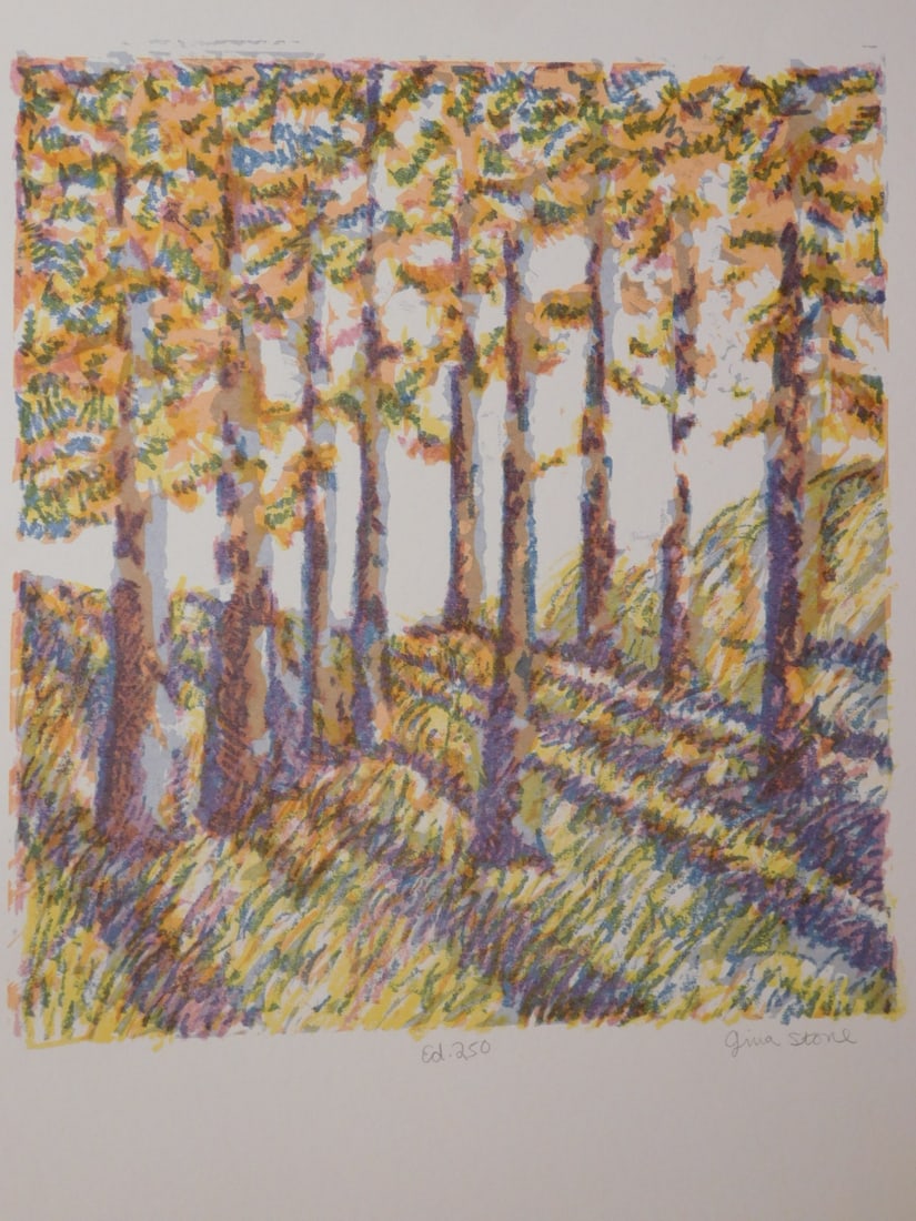 Gina Stone: Forest Landscape: Gina Stone: Forest Landscape, silkscreen on paper, edition of 250, signed, unframed, From seventh annual RISD (Rhode Island School of Design) silkscreen portfolio in 1976. 20x16 in. paper Good