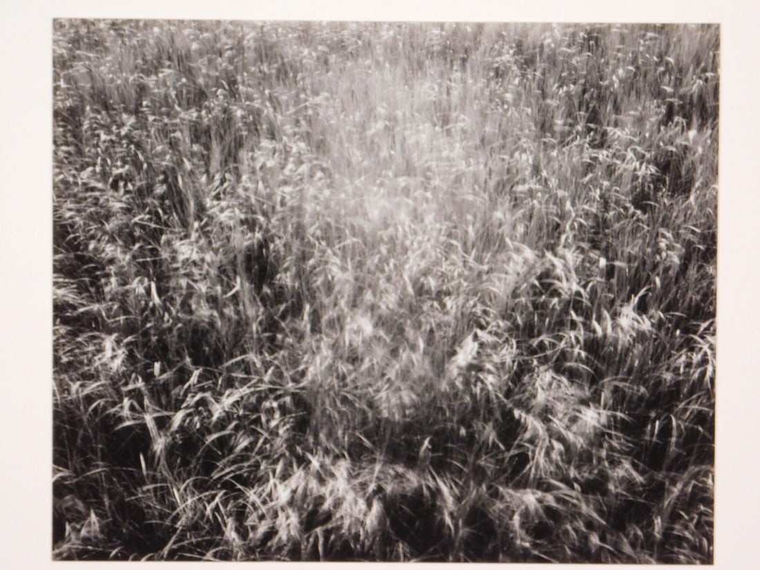 James Baker: Nauset Beach, 1974: James Baker (American, b 1937): Nauset Beach, 1974. Silver gelatin print mounted on rag board, unframed. Limited edition print (93/100) from the 8th annual portfolio of The Photographic Education