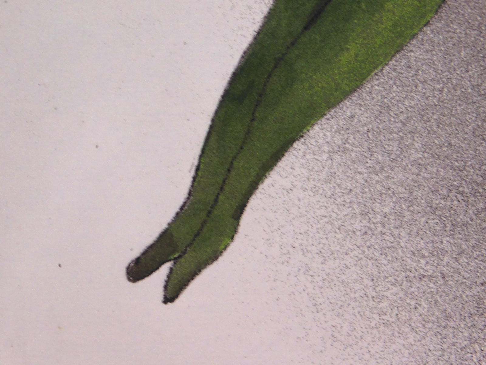 Baiger: Boy and Dove - 5