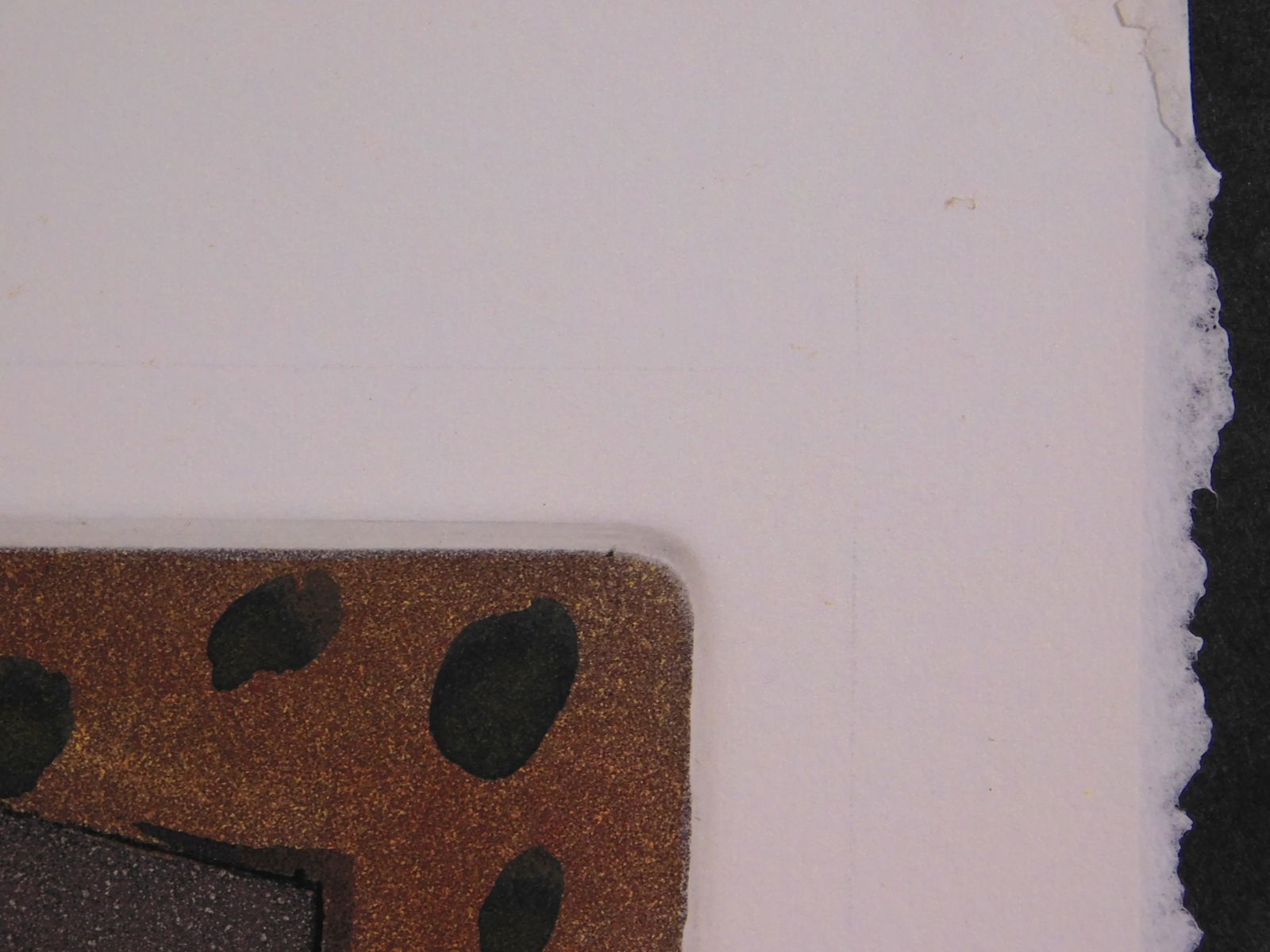 Baiger: Boy and Dove - 6