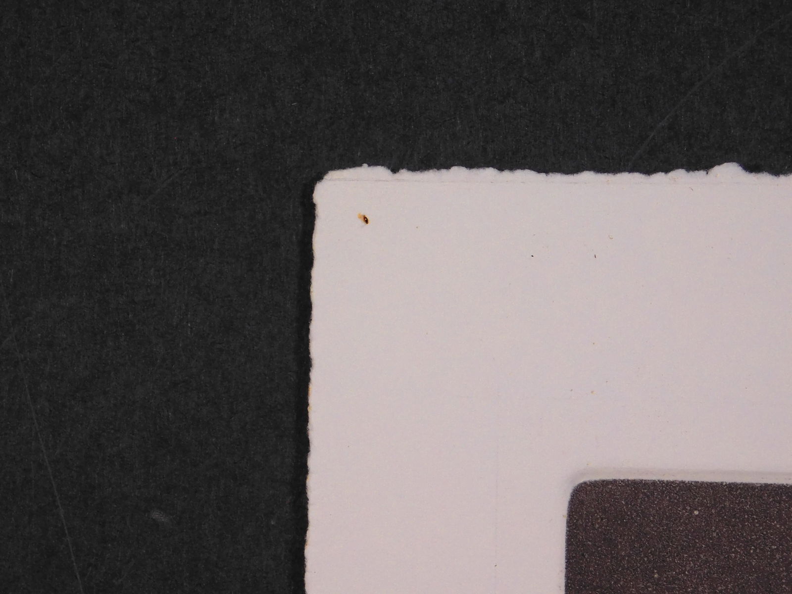 Baiger: Boy and Dove - 7