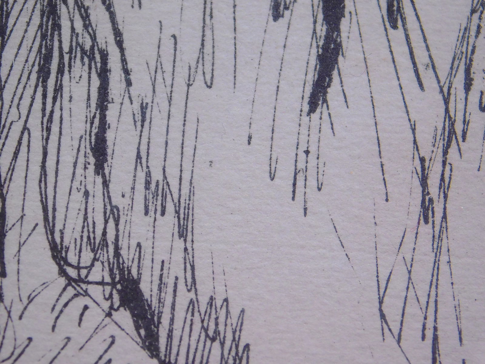 Pierre Bonnard: Two Figures - 3