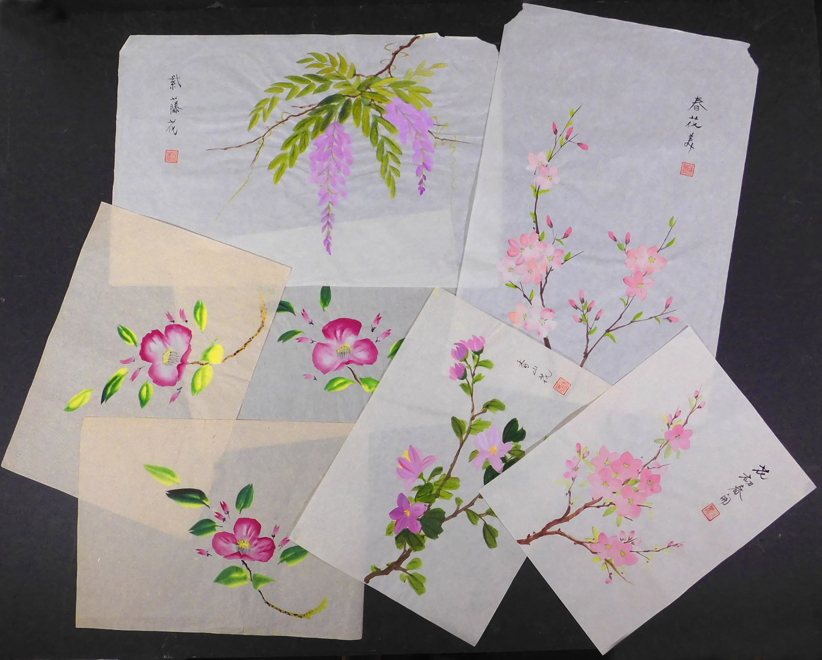 Set of Eight Floral Studies (1 of 8)