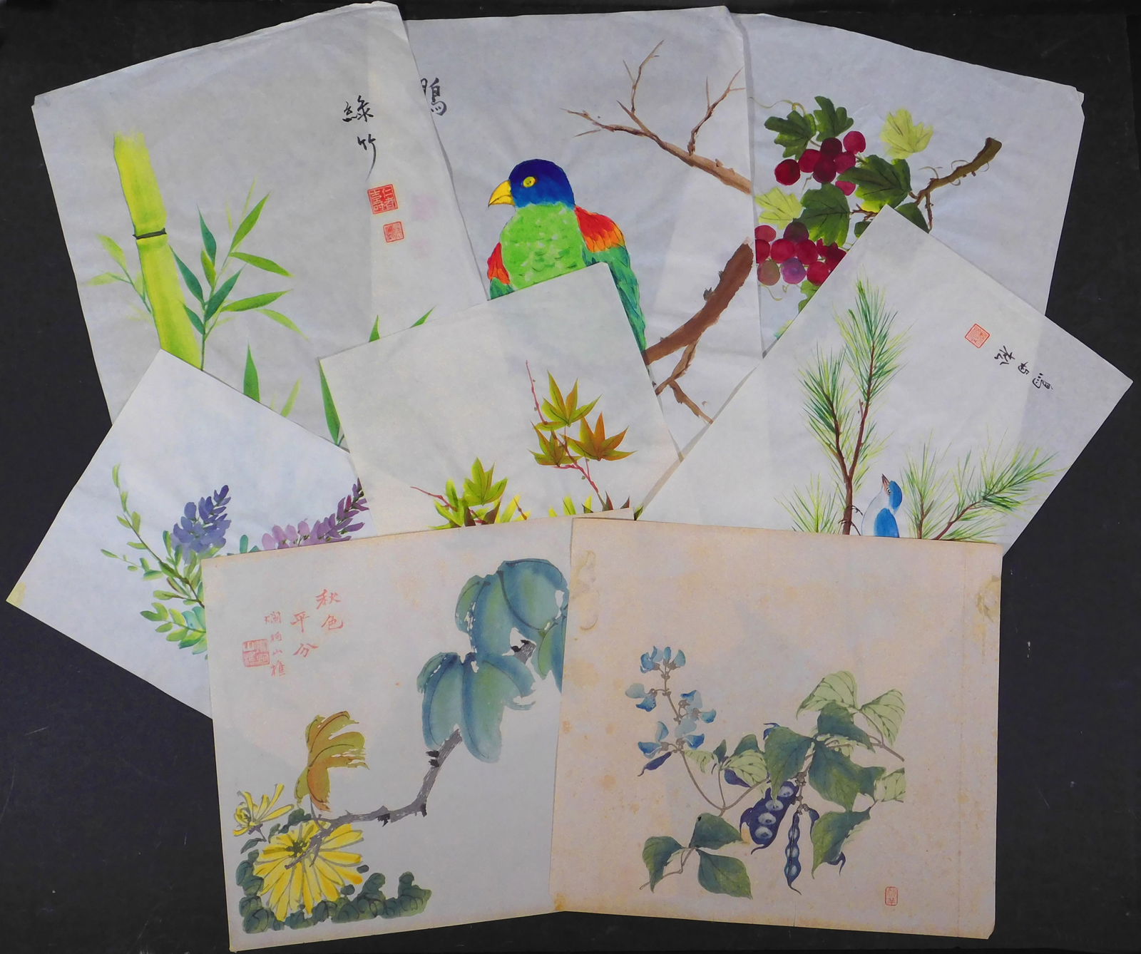 Set of Eight Birds and Botanicals Studies: Set of Eight (8) Birds and Botanicals Studies. Gouache on rice paper, unframed most drawings have calligraphy and artists' seals. The vibrant blooms and delicate petals are sure to brighten any space