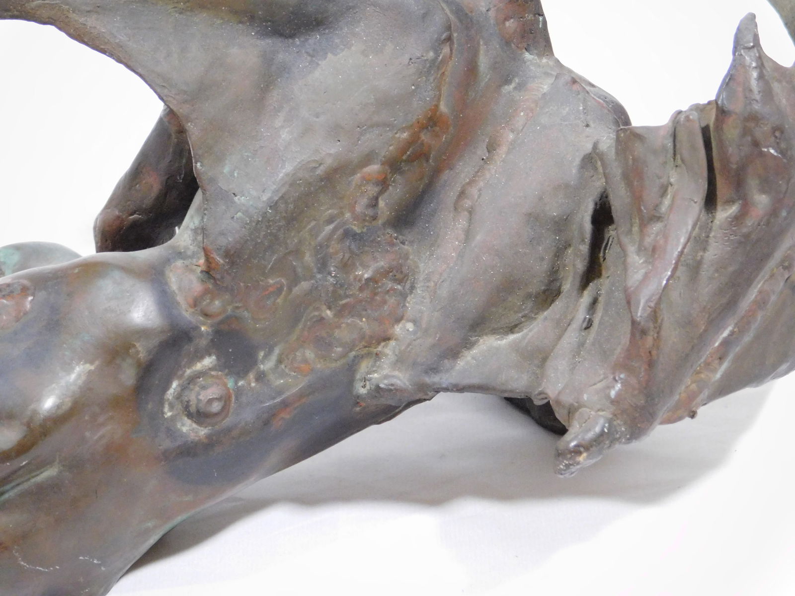 Bronze Winged Demon - 13