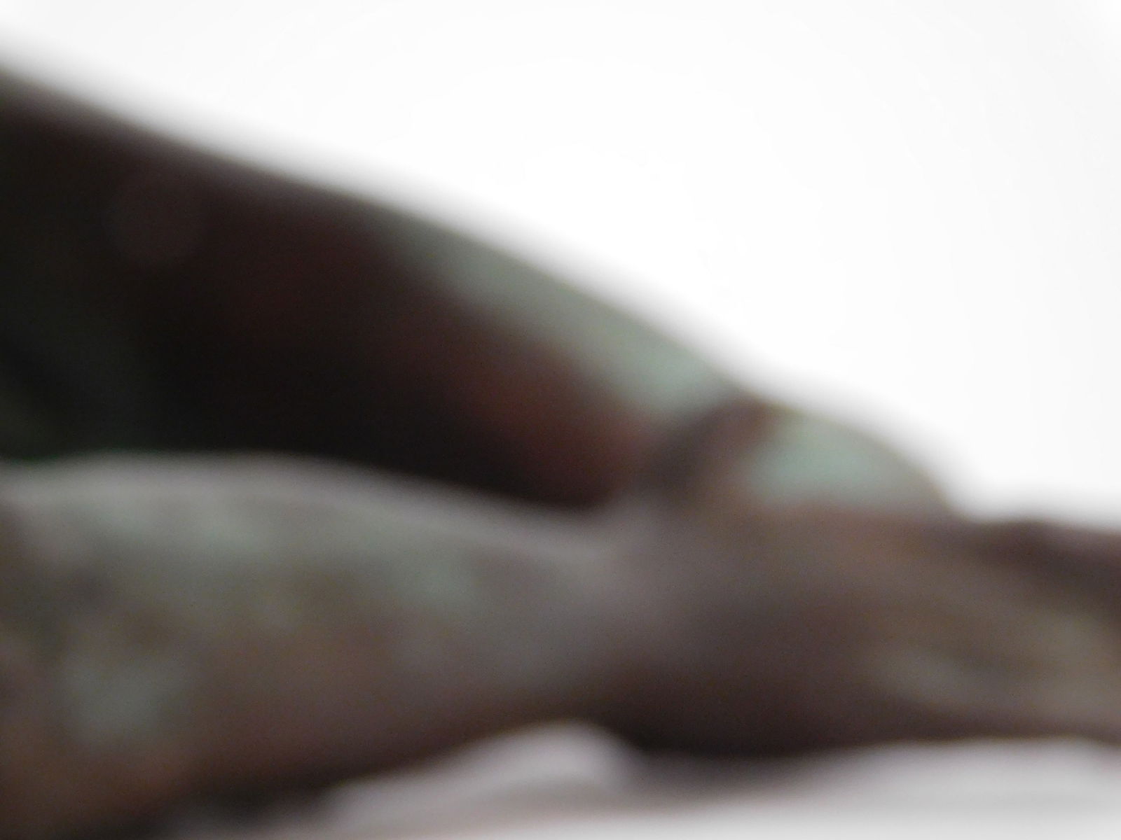 Bronze Winged Demon - 4