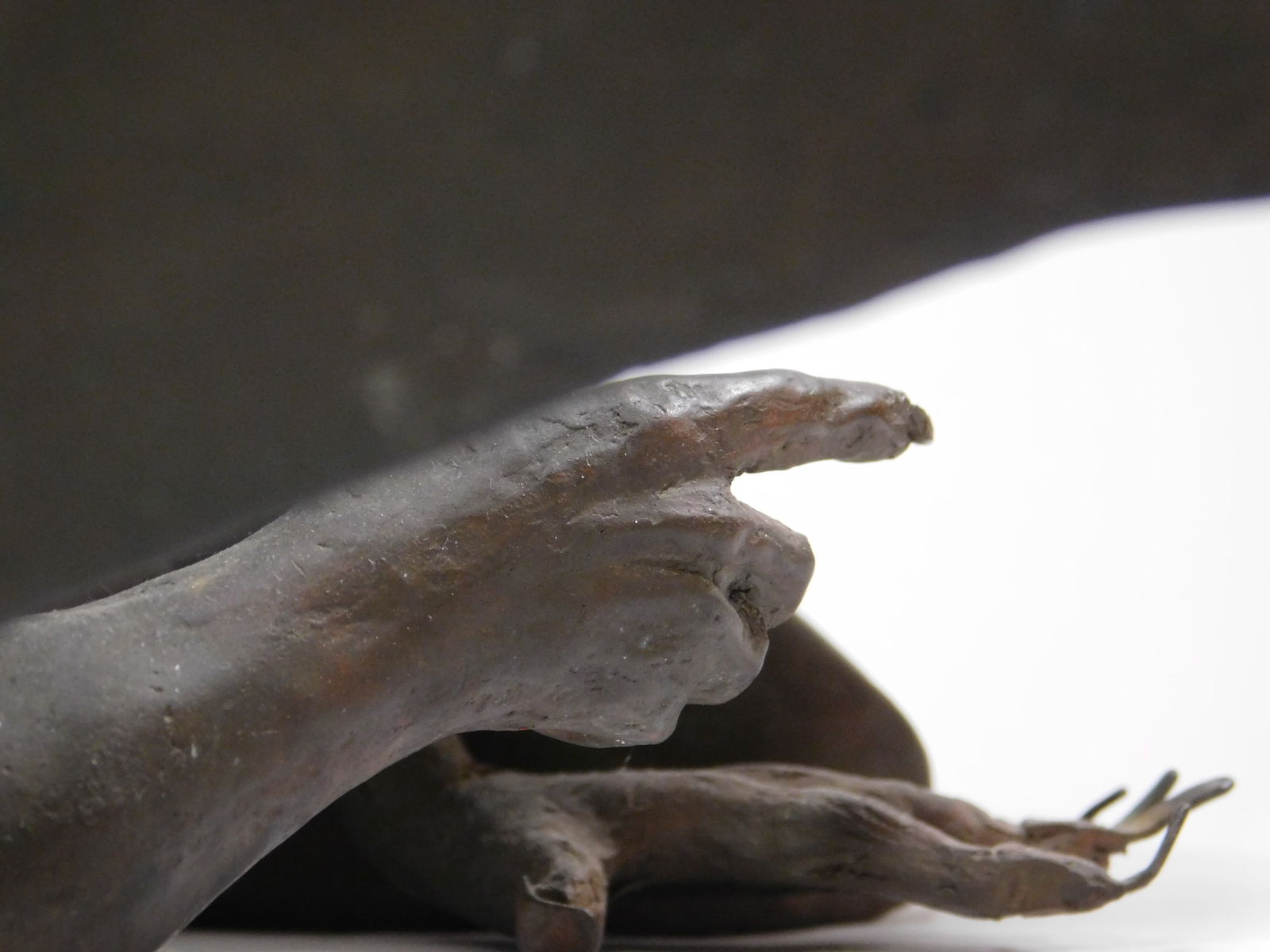 Bronze Winged Demon - 9