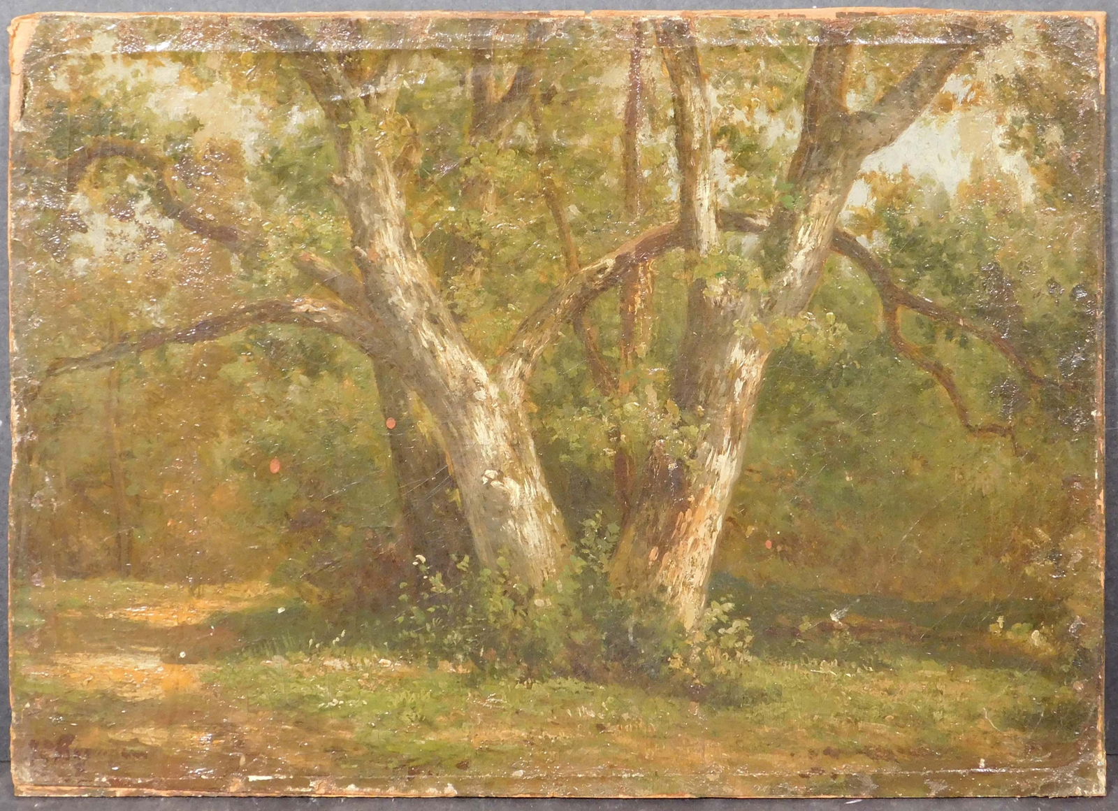 Hermanus Bogman: Impressionist Forrest: Hermanus Bogman (Dutch, 1890 - 1975): Impressionist Forrest. Oil on canvas laid to board, signed lower left. Notes in pencil verso, presumably a title and location (Hauge) where the artist grew up. 
