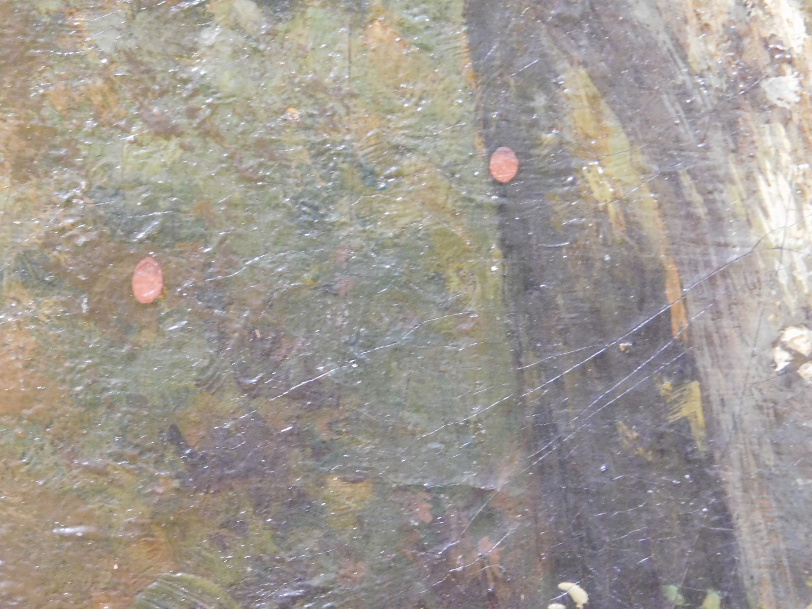 Hermanus Bogman: Impressionist Forrest - 6