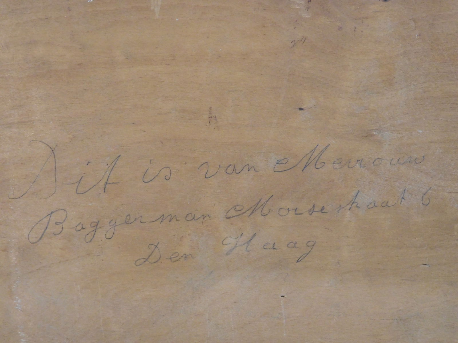 Hermanus Bogman: Impressionist Forrest - 8