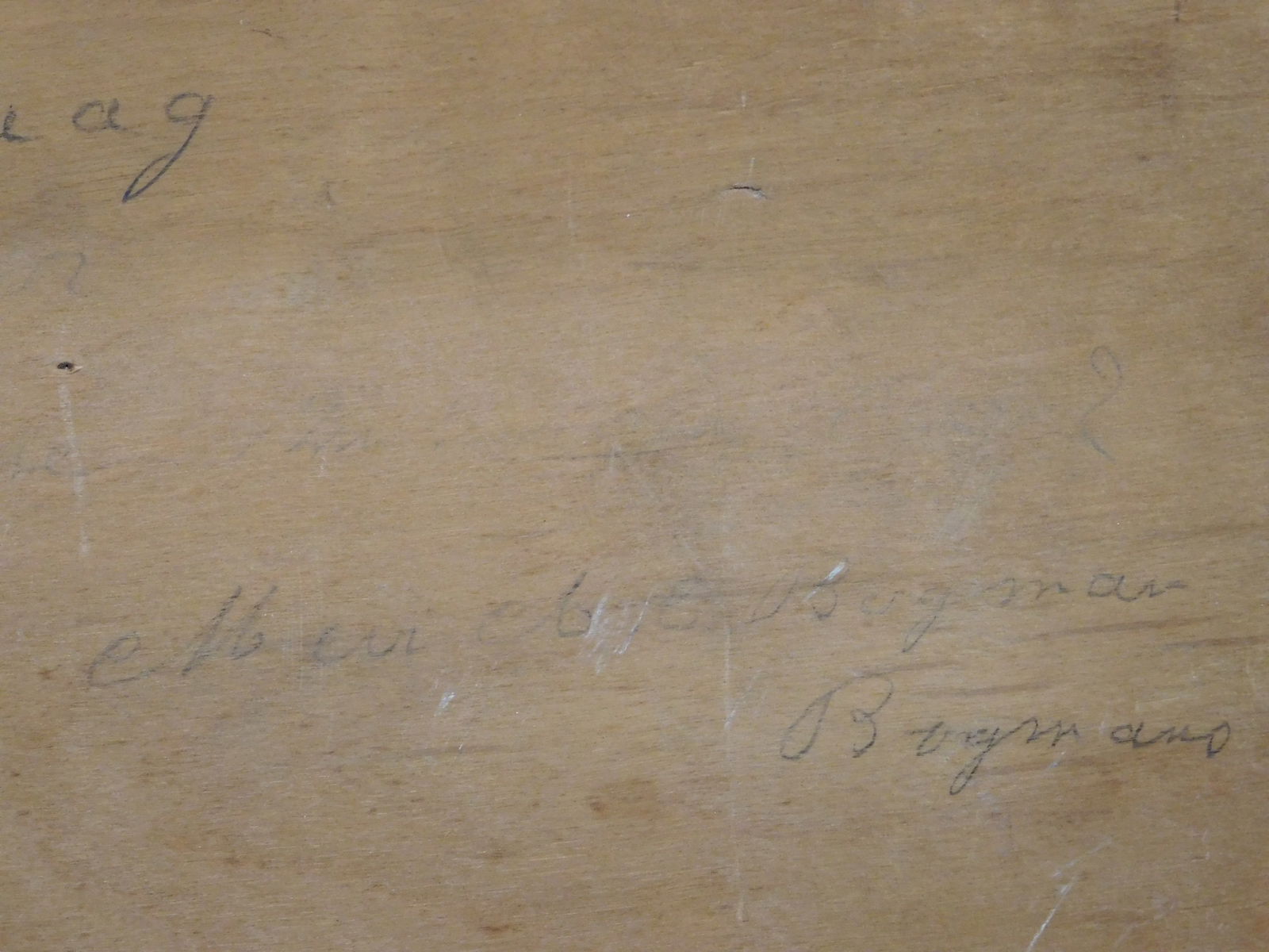 Hermanus Bogman: Impressionist Forrest - 9