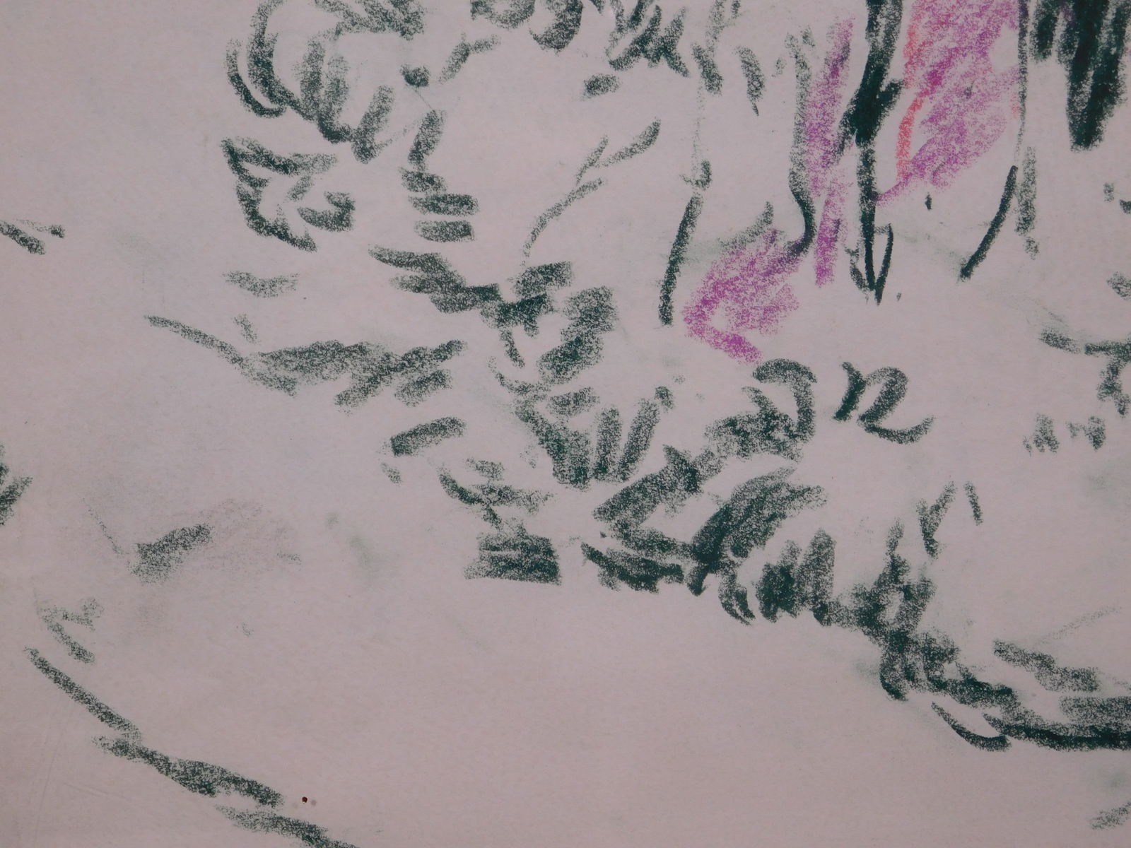 Richard H. Bassett: Tree Study #4 Pattern - 5