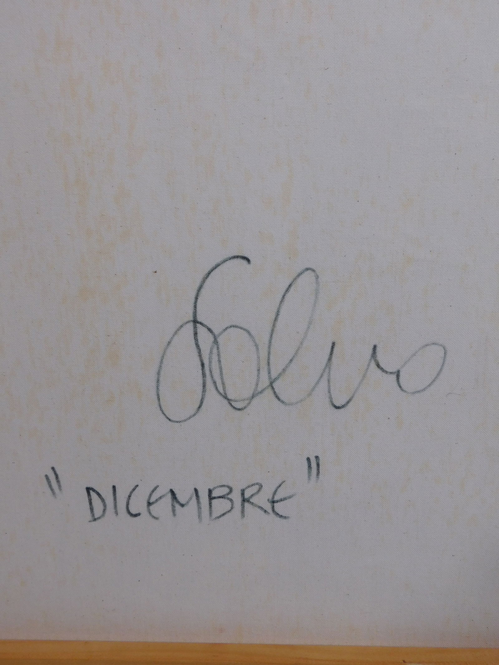 Salvo: Dicembre - 11