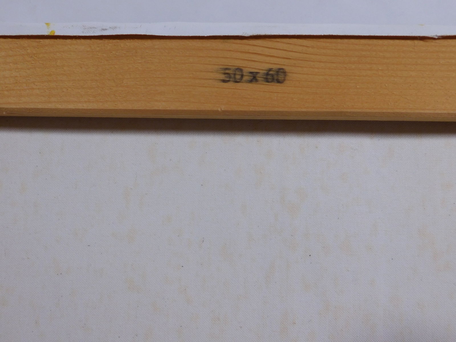 Salvo: Dicembre - 13