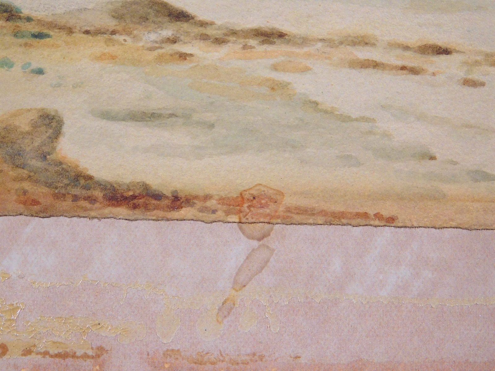 Claude Maurice: Cove - 12