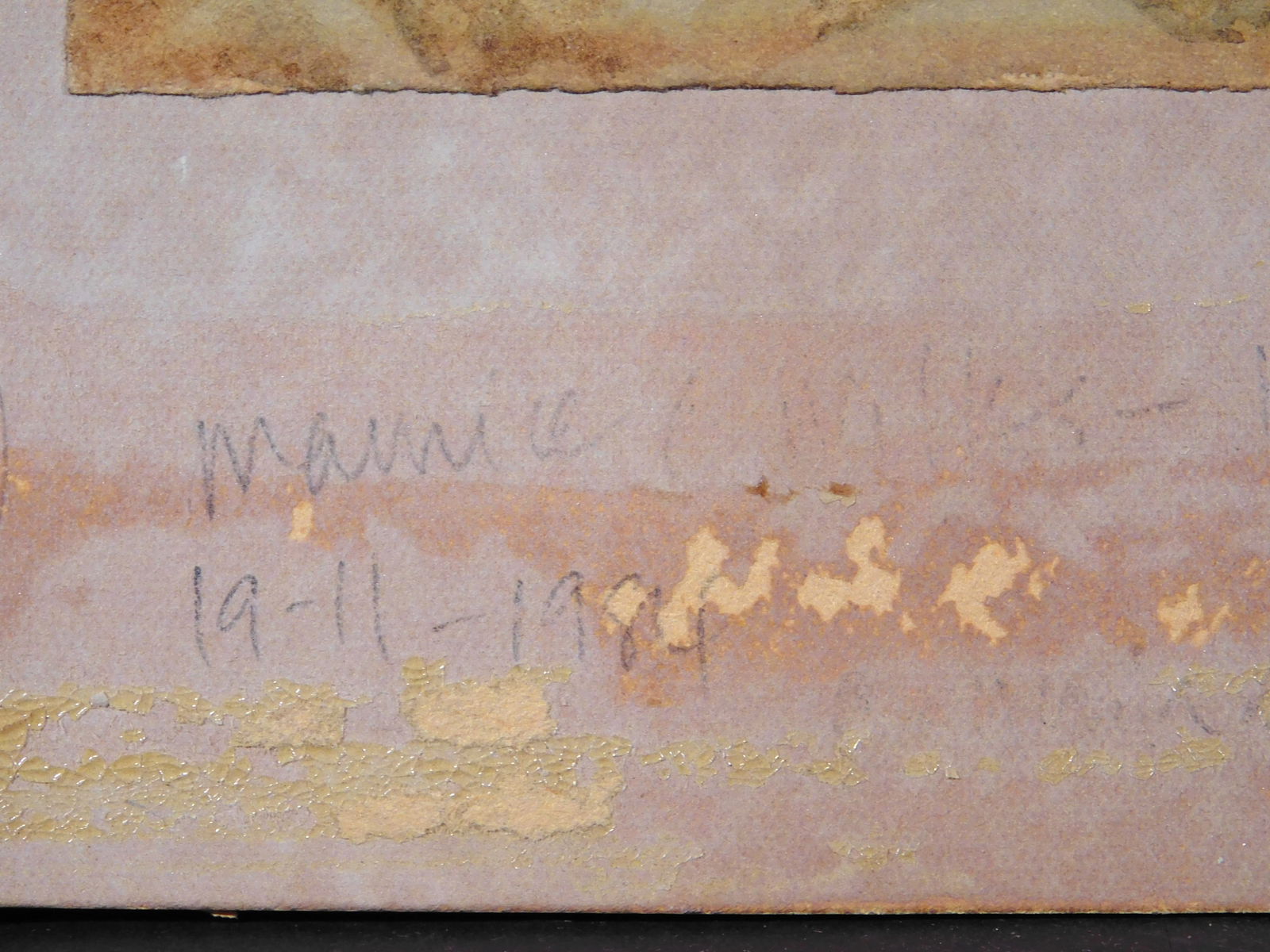 Claude Maurice: Cove - 5