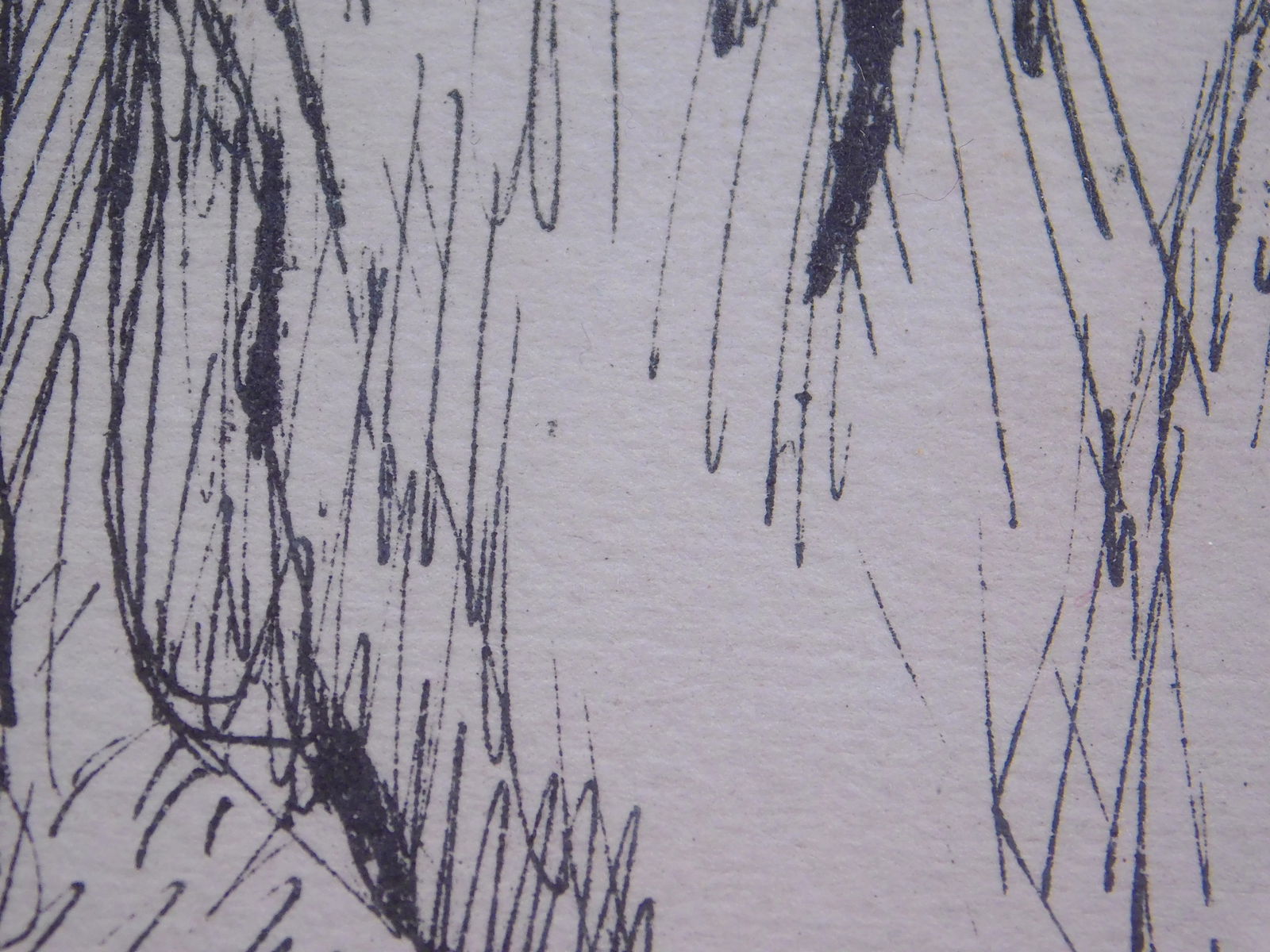 Pierre Bonnard: Two Figures - 3