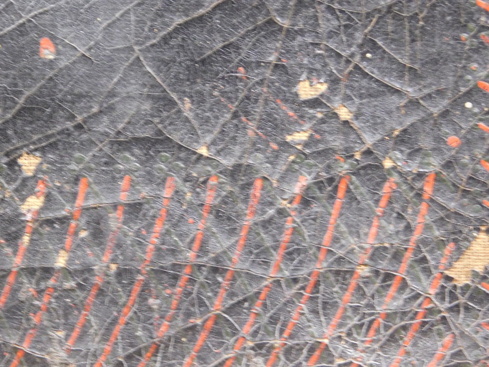 Rooster on Cloth (Black) - 7