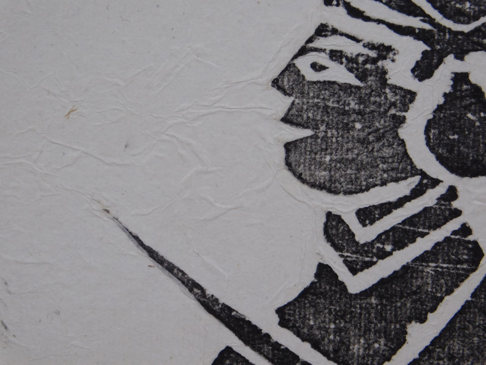 Horse Drawn Rickshaw - 5