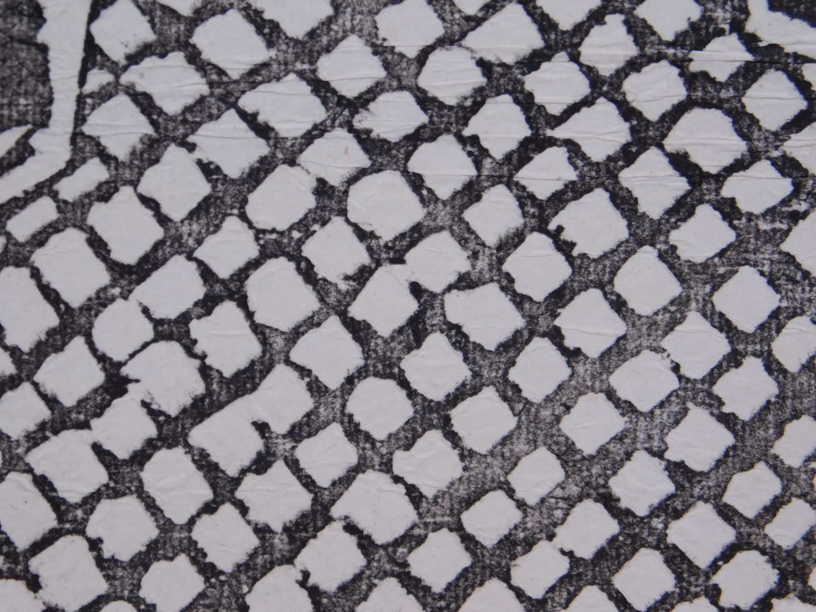 Horse Drawn Rickshaw - 6