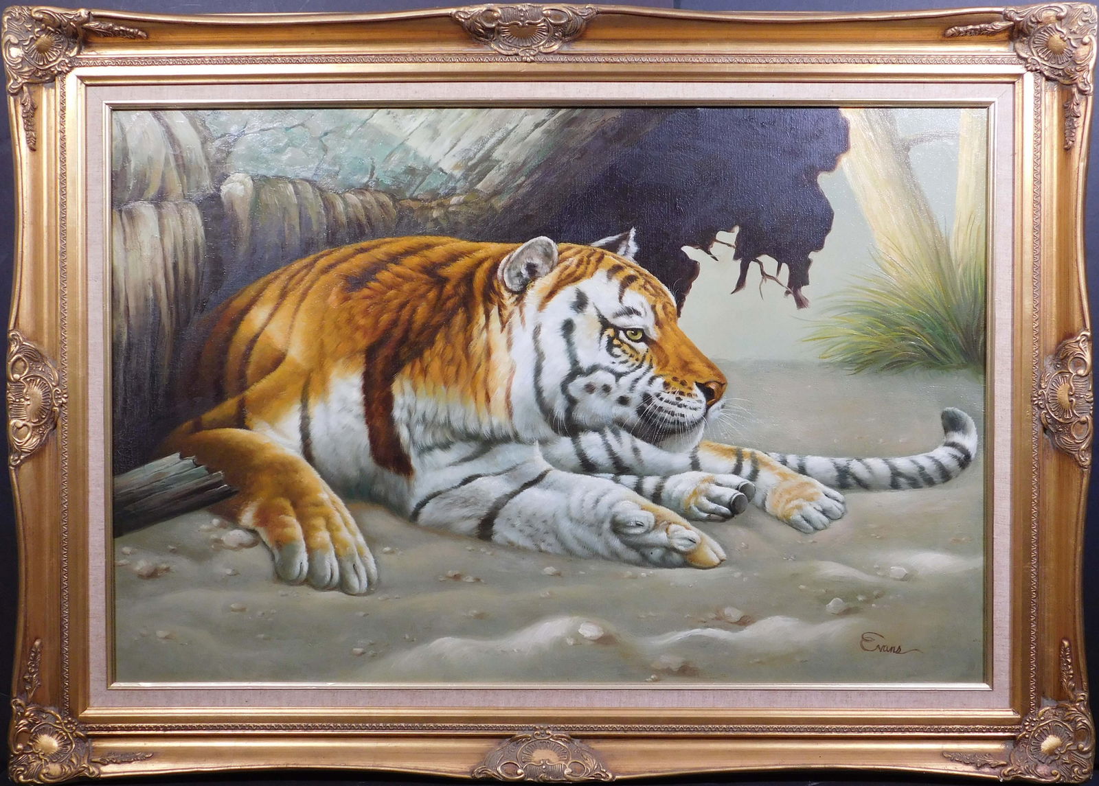 Evans: Tiger Resting on a Beach (1 of 6)