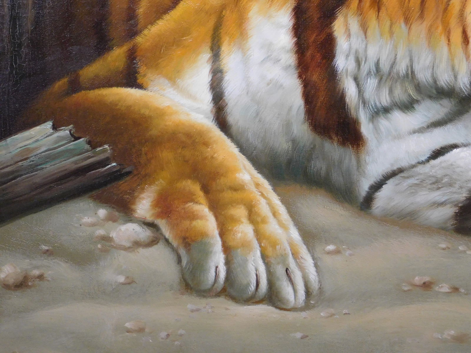 Evans: Tiger Resting on a Beach - 3