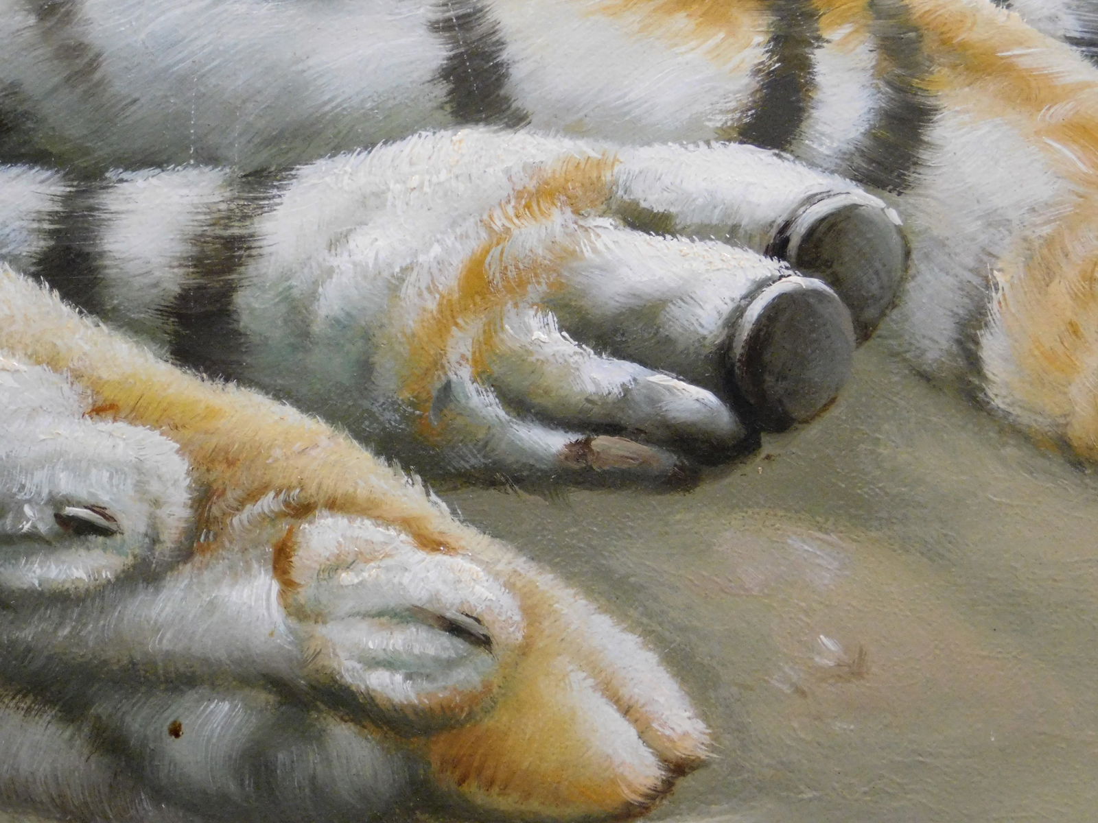 Evans: Tiger Resting on a Beach - 4