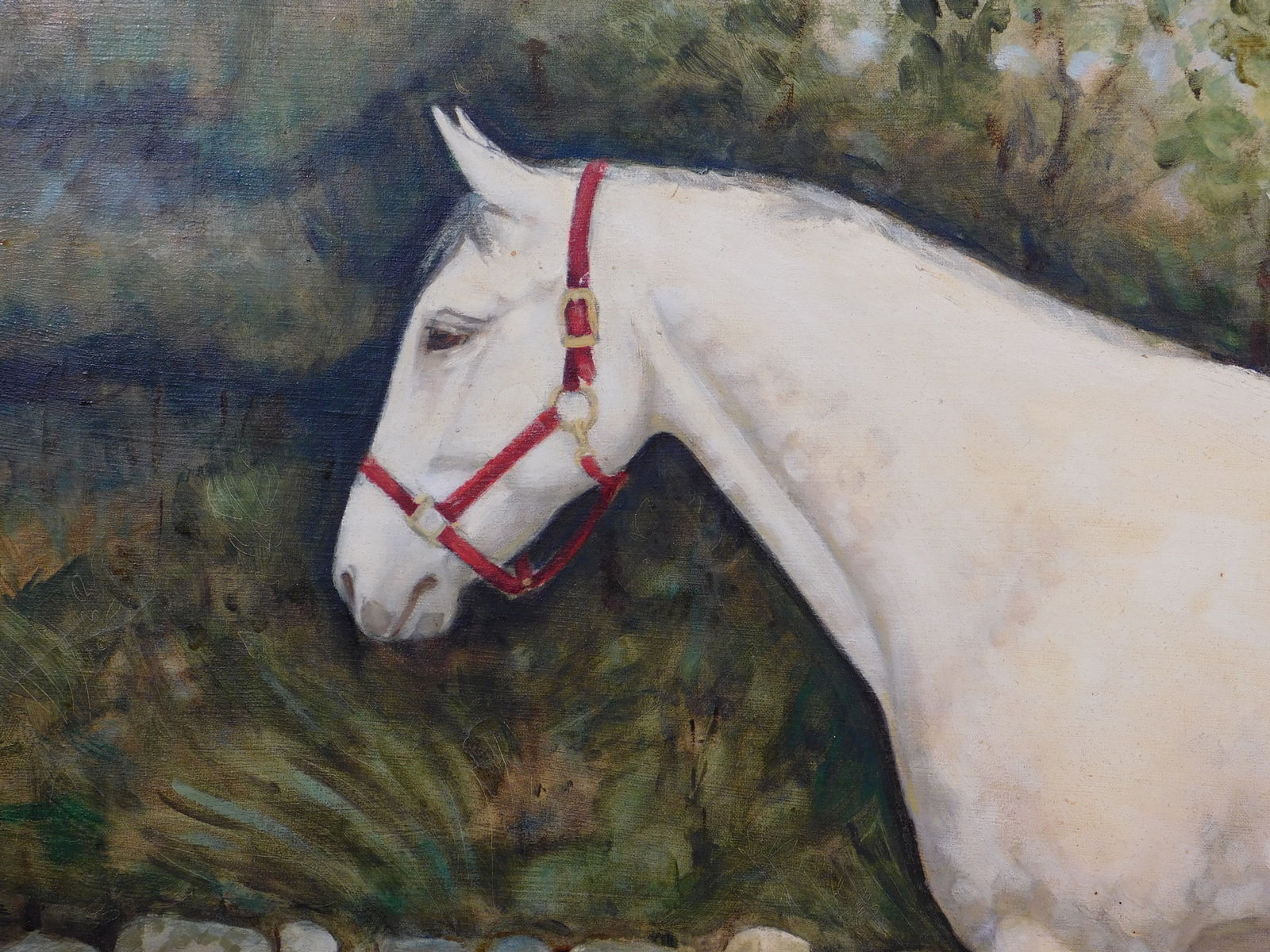 John H : Appaloosa - 2