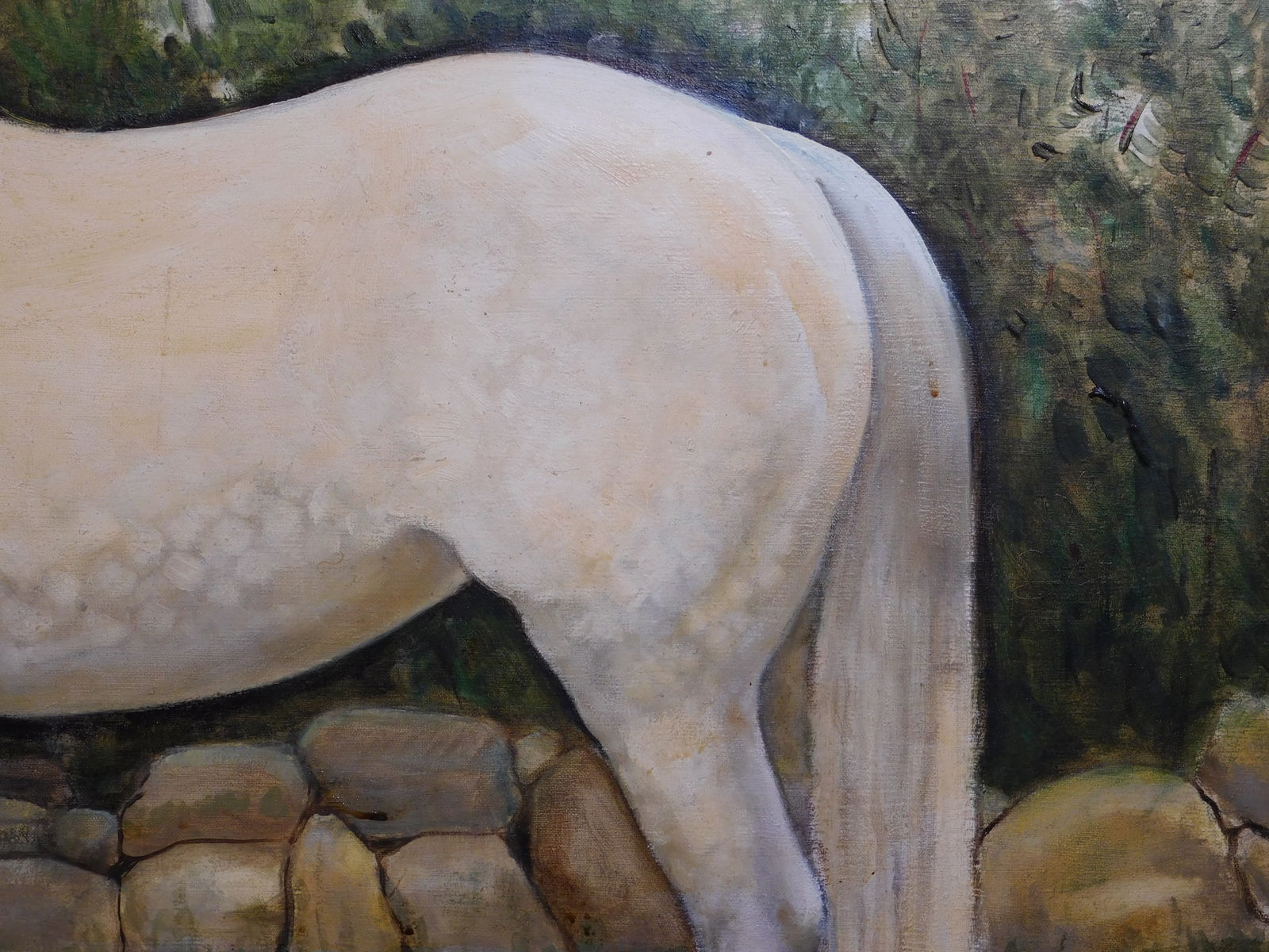 John H : Appaloosa - 3