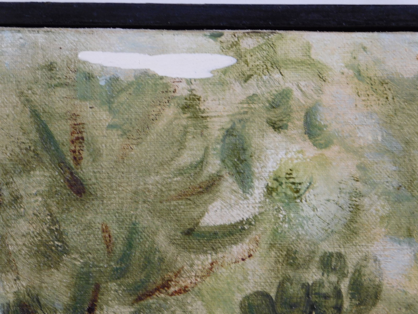 John H : Appaloosa - 6