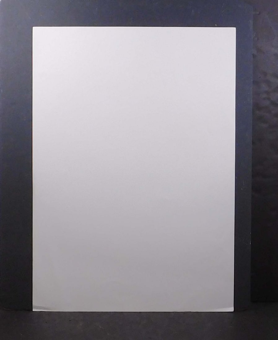 Robert Rauschenberg : Phoenix, AZ - 11