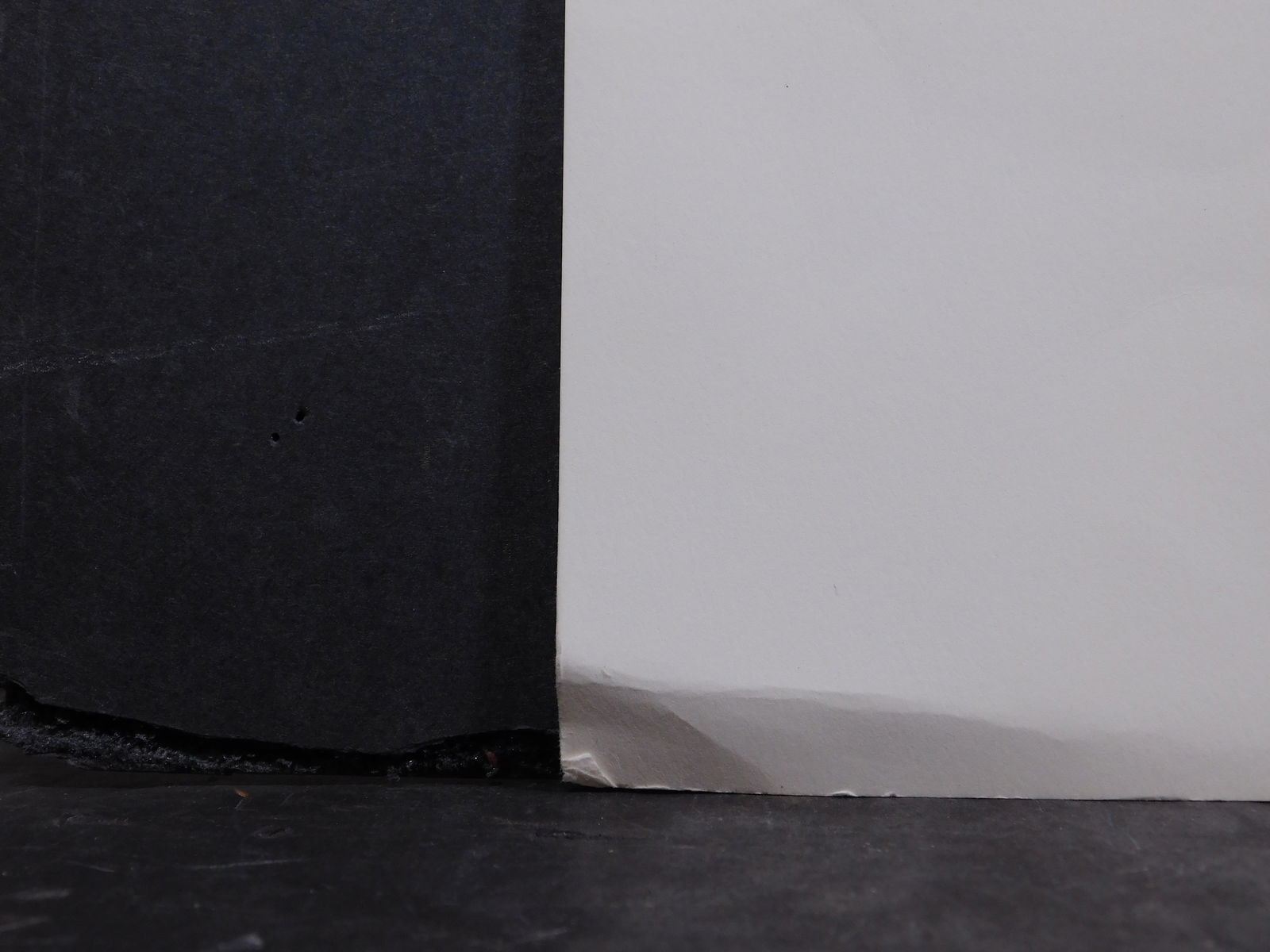 Robert Rauschenberg : Phoenix, AZ - 4