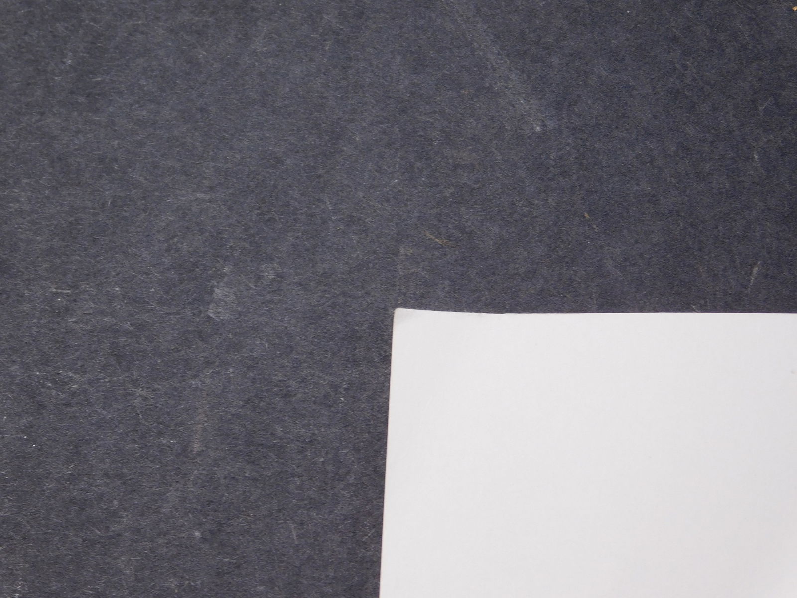 Robert Rauschenberg : Phoenix, AZ - 5