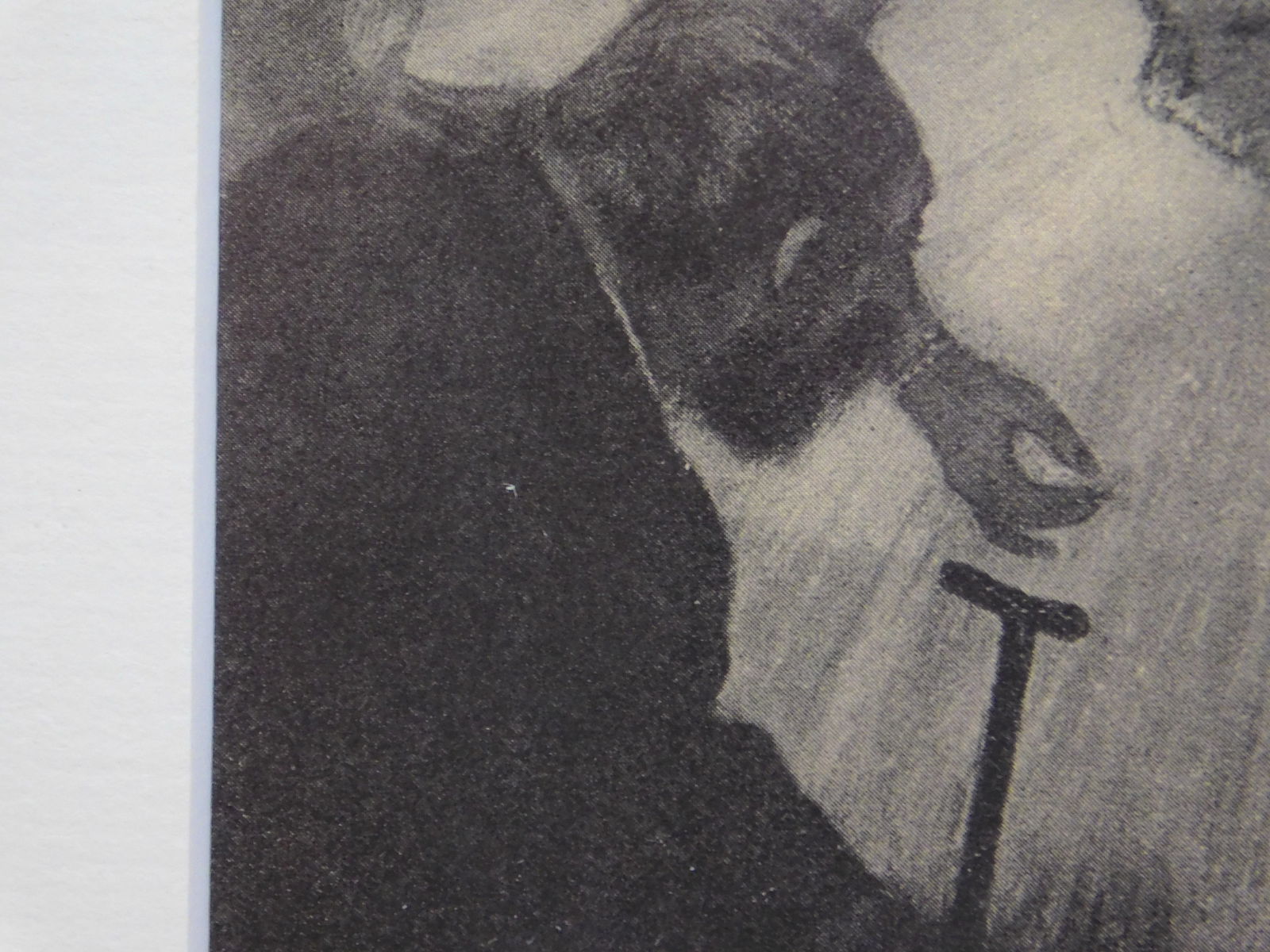 Edgar Degas: Danseuse - 7