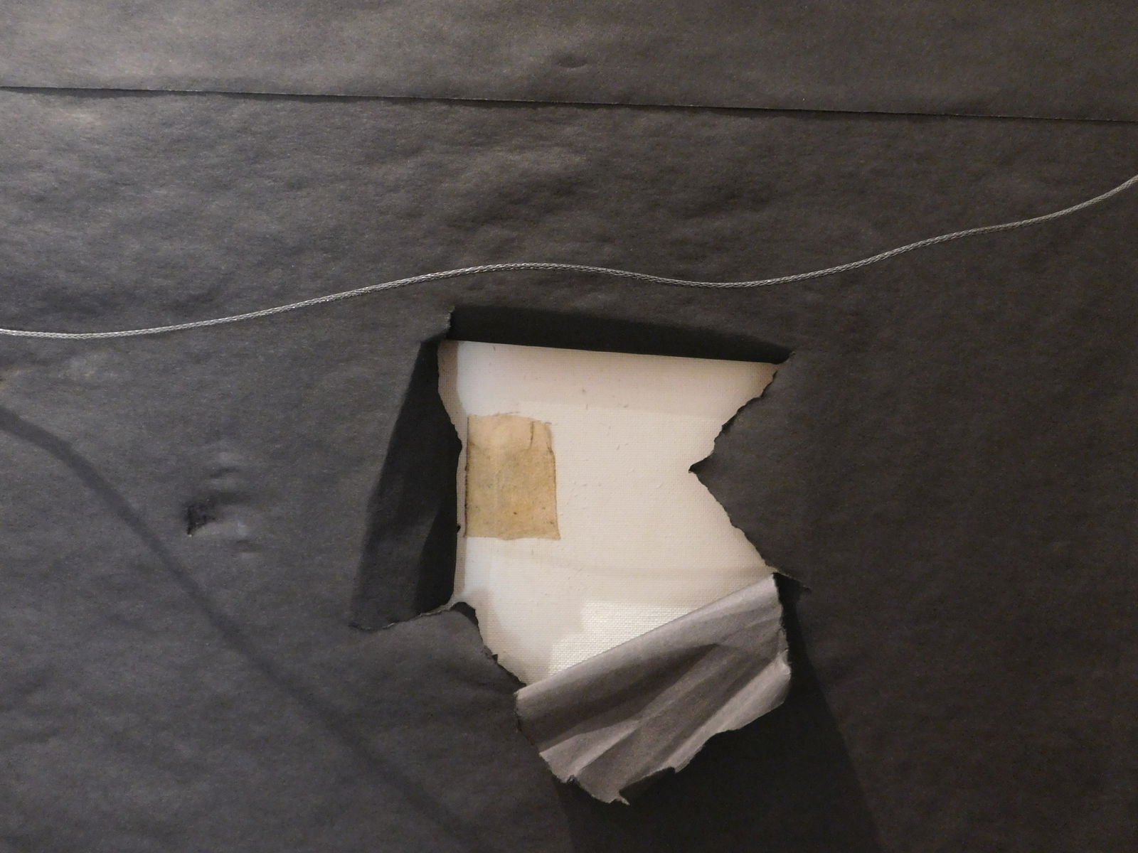 After Andy Warhol: Bald Eagle - 7