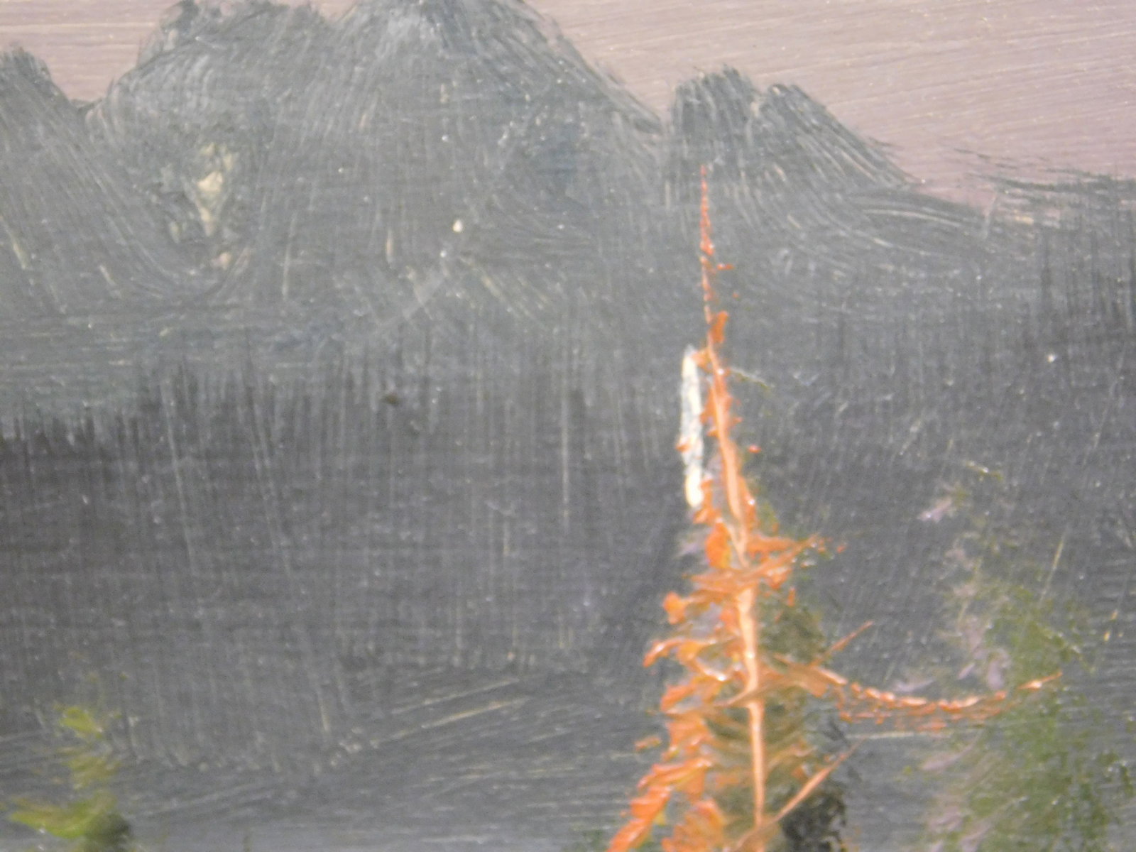 Evening Camping Scene - 7