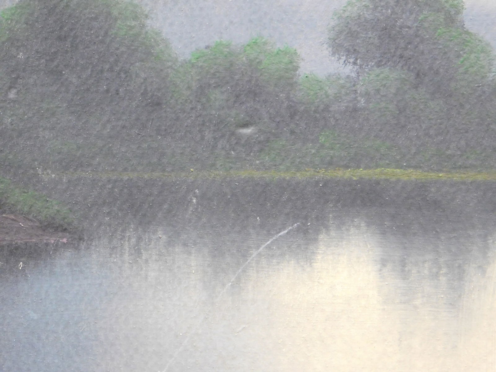 Evening Camping Scene - 2