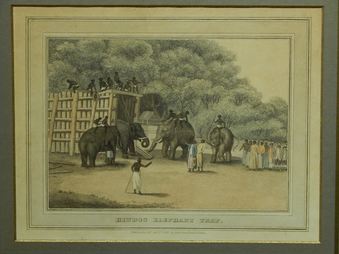 Hindoo Elephant Trap (1 of 8)