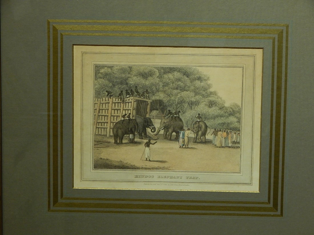 Hindoo Elephant Trap - 2