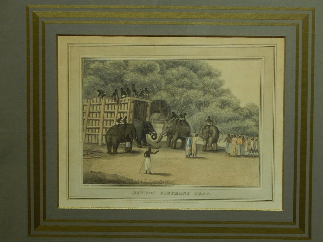 Hindoo Elephant Trap - 3