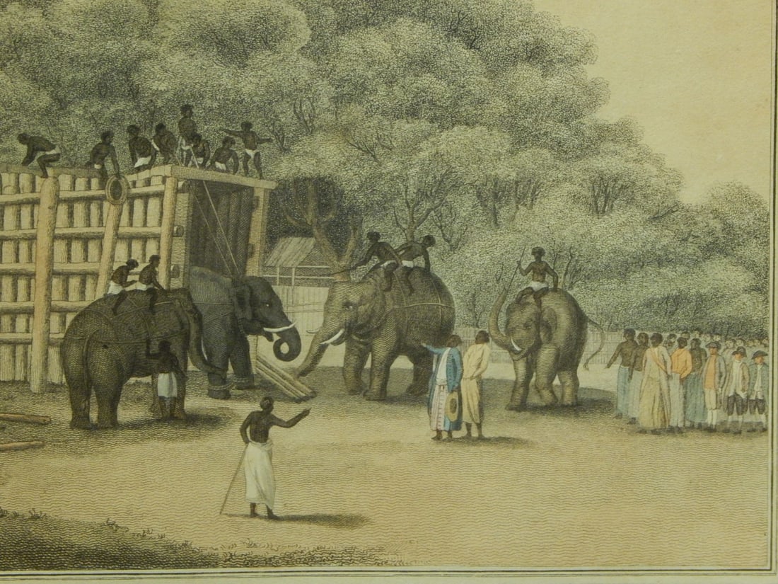 Hindoo Elephant Trap - 5