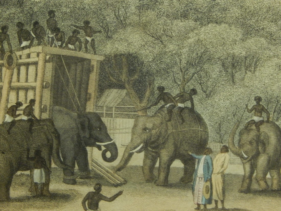 Hindoo Elephant Trap - 7