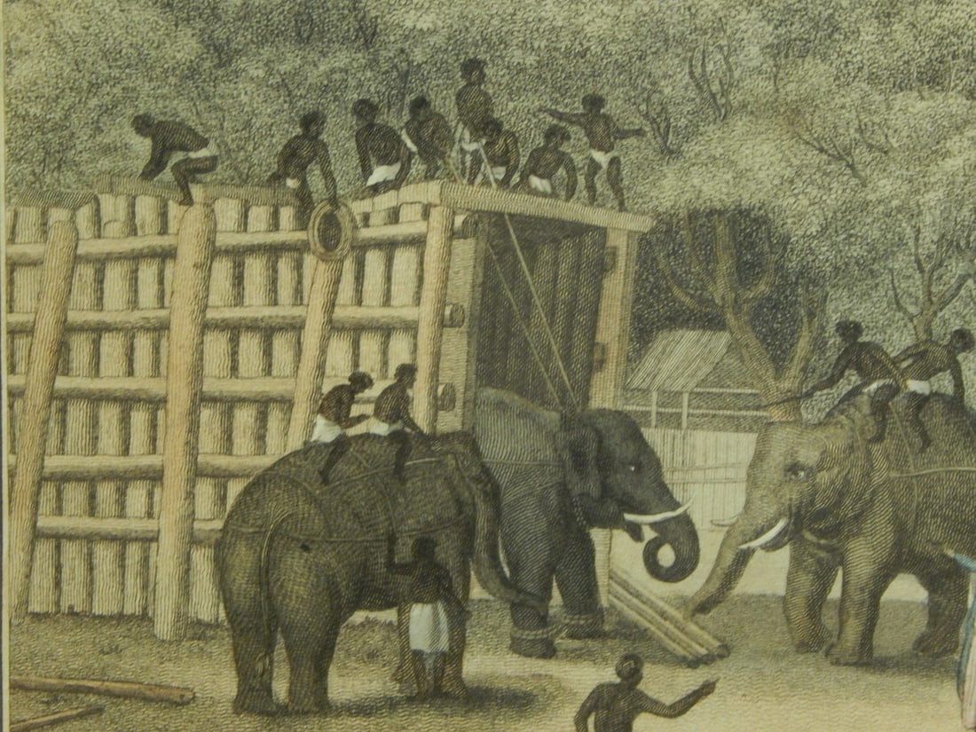 Hindoo Elephant Trap - 8