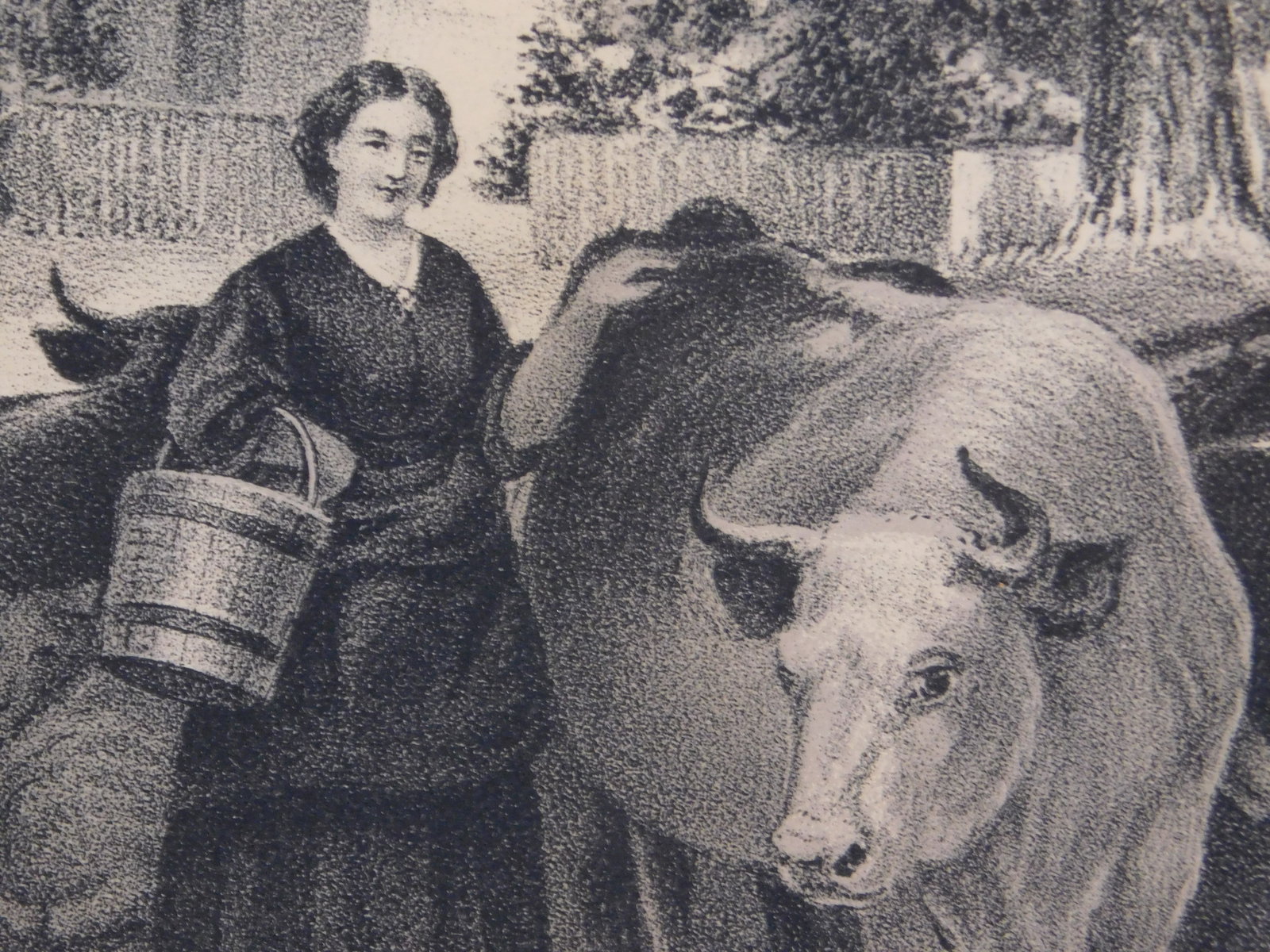 After Joseph John: Farmyard - 4