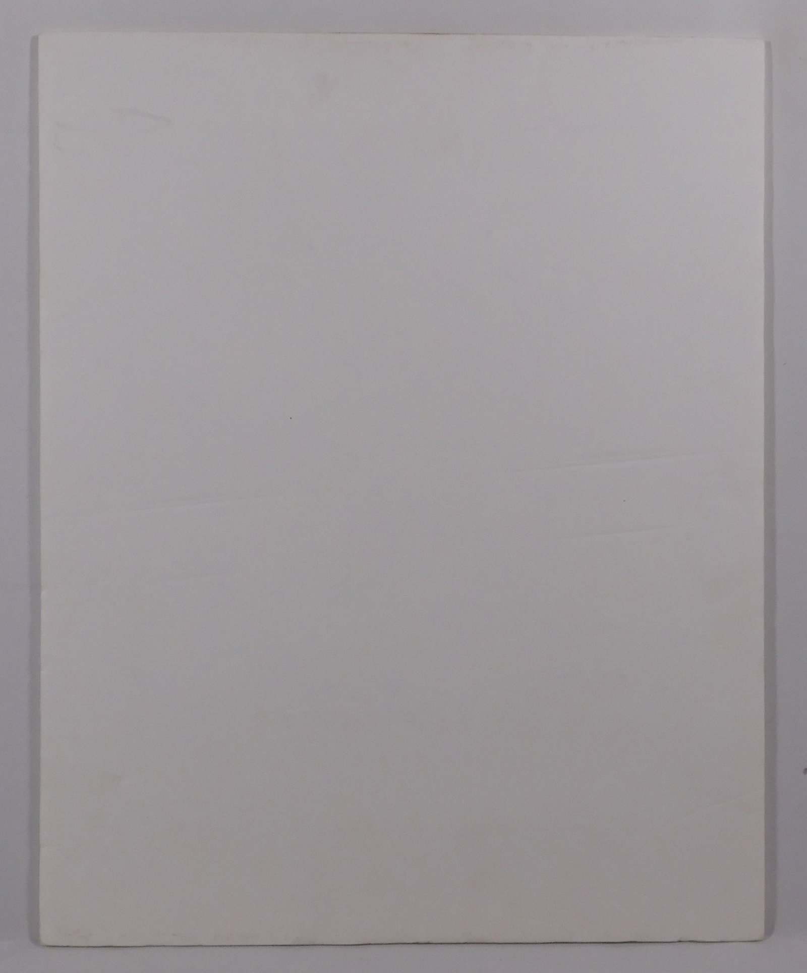 After Pablo Picasso: Pates Blanches - 14
